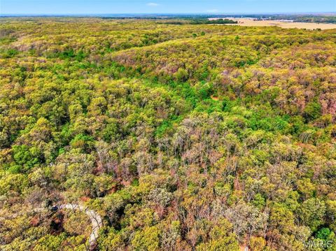 Tiny photo for 177 Tree Farm Road, New Florence, MO 63363 (MLS # 26024548)