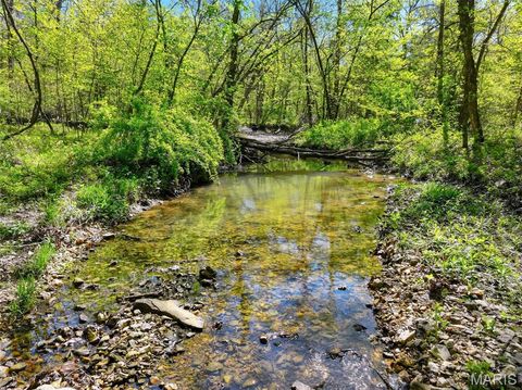 Tiny photo for 177 Tree Farm Road, New Florence, MO 63363 (MLS # 26024548)