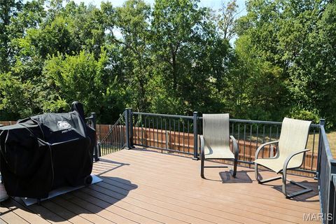 Tiny photo for 89 Bristol Crest Court, Wentzville, MO 63385 (MLS # 25070303)