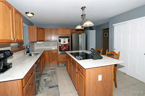 Tiny photo for 89 Bristol Crest Court, Wentzville, MO 63385 (MLS # 25070303)
