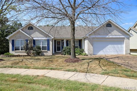 Photo of 89 Bristol Crest Court, Wentzville, MO 63385 (MLS # 25070303)