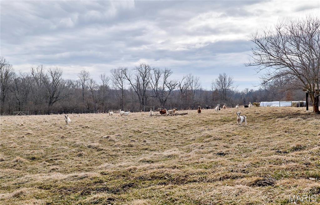 Clarksville, Missouri 63336, United States, 4 Bedrooms Bedrooms, ,2 BathroomsBathrooms,Residential,Active,1991