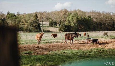 Tiny photo for 267 Cedar Ford Road, Steelville, MO 65565 (MLS # 26023287)