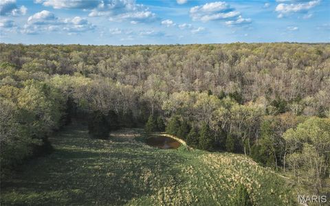 Tiny photo for 267 Cedar Ford Road, Steelville, MO 65565 (MLS # 26023287)