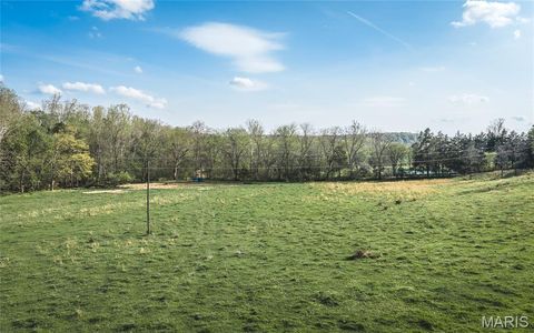 Tiny photo for 267 Cedar Ford Road, Steelville, MO 65565 (MLS # 26023287)