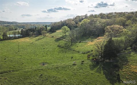 Tiny photo for 267 Cedar Ford Road, Steelville, MO 65565 (MLS # 26023287)