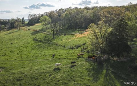 Tiny photo for 267 Cedar Ford Road, Steelville, MO 65565 (MLS # 26023287)