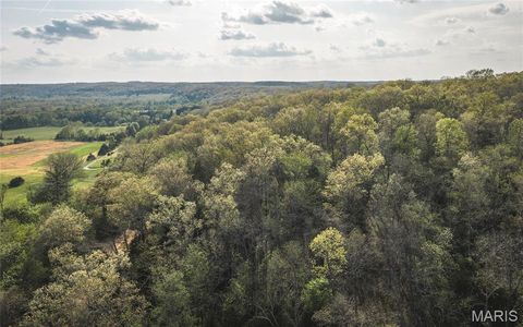 Tiny photo for 267 Cedar Ford Road, Steelville, MO 65565 (MLS # 26023287)