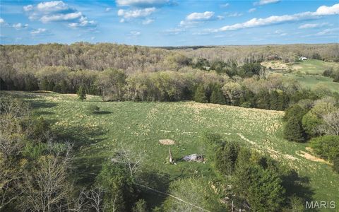 Tiny photo for 267 Cedar Ford Road, Steelville, MO 65565 (MLS # 26023287)