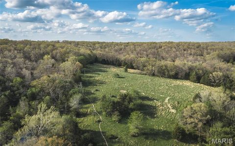 Tiny photo for 267 Cedar Ford Road, Steelville, MO 65565 (MLS # 26023287)
