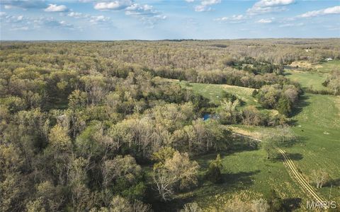Tiny photo for 267 Cedar Ford Road, Steelville, MO 65565 (MLS # 26023287)