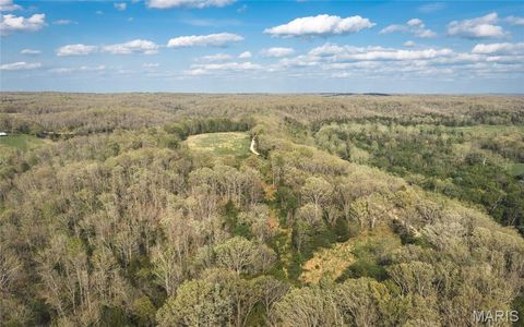 Tiny photo for 267 Cedar Ford Road, Steelville, MO 65565 (MLS # 26023287)