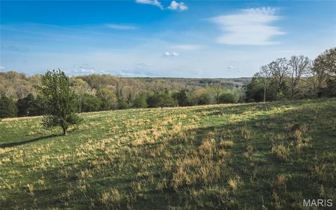 Tiny photo for 267 Cedar Ford Road, Steelville, MO 65565 (MLS # 26023287)