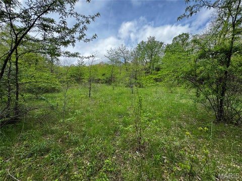 Tiny photo for 0000 County Road 120, Philadelphia, MO 63463 (MLS # 26067596)