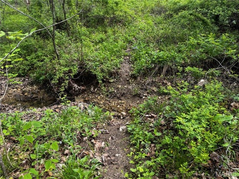 Tiny photo for 0000 County Road 120, Philadelphia, MO 63463 (MLS # 26067596)