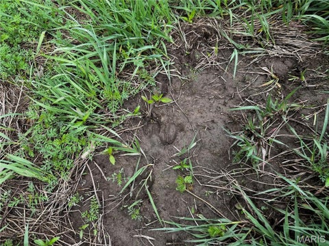 Tiny photo for 0000 County Road 120, Philadelphia, MO 63463 (MLS # 26067596)