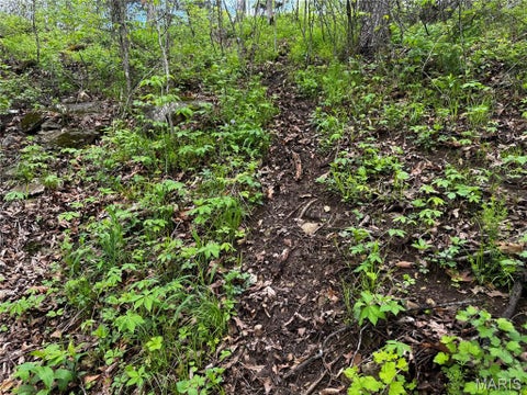 Tiny photo for 0000 County Road 120, Philadelphia, MO 63463 (MLS # 26067596)