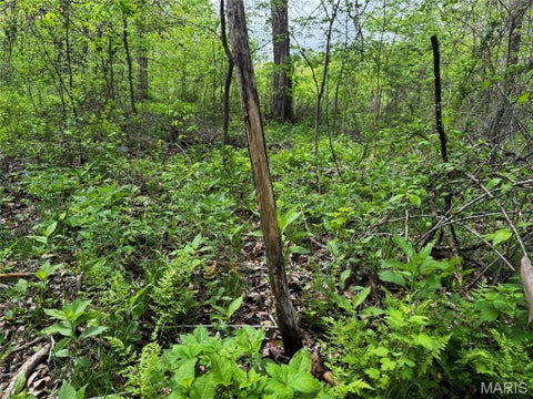 Tiny photo for 0000 County Road 120, Philadelphia, MO 63463 (MLS # 26067596)