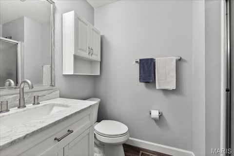 Tiny photo for 198 Maggie Kate Court #2132A, Wentzville, MO 63385 (MLS # 26011370)