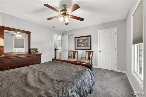 Tiny photo for 198 Maggie Kate Court #2132A, Wentzville, MO 63385 (MLS # 26011370)