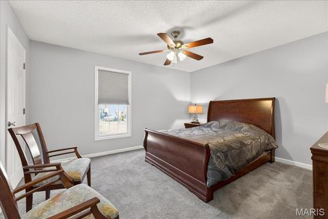 Tiny photo for 198 Maggie Kate Court #2132A, Wentzville, MO 63385 (MLS # 26011370)