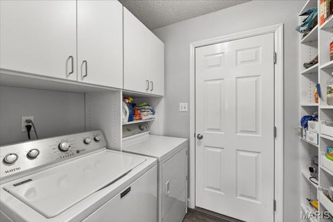 Tiny photo for 198 Maggie Kate Court #2132A, Wentzville, MO 63385 (MLS # 26011370)