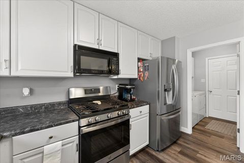 Tiny photo for 198 Maggie Kate Court #2132A, Wentzville, MO 63385 (MLS # 26011370)