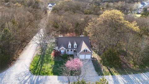 Photo of 5937 Peachtree Dr, Hillsboro, MO 63050 (MLS # 26023383)