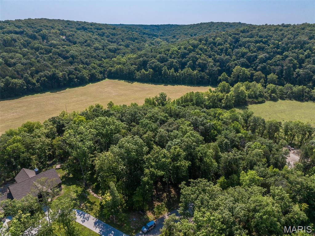 2545 Alpine Woods Drive