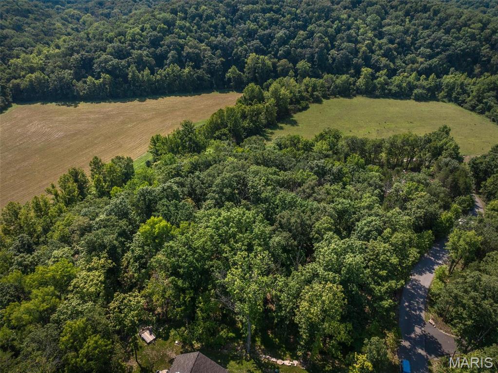 2545 Alpine Woods Drive