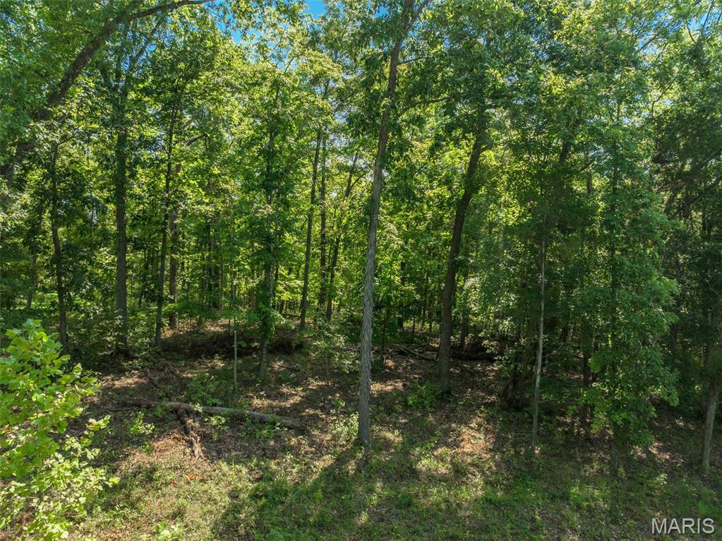 2545 Alpine Woods Drive