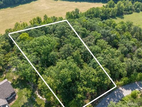 2545 Alpine Woods Drive