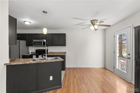 Tiny photo for 322 Santa Elena Court, Wentzville, MO 63385 (MLS # 26011978)