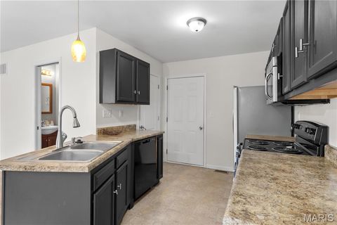 Tiny photo for 322 Santa Elena Court, Wentzville, MO 63385 (MLS # 26011978)