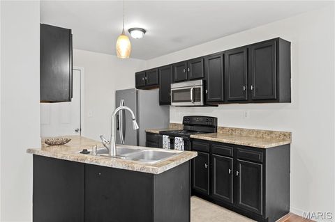 Tiny photo for 322 Santa Elena Court, Wentzville, MO 63385 (MLS # 26011978)