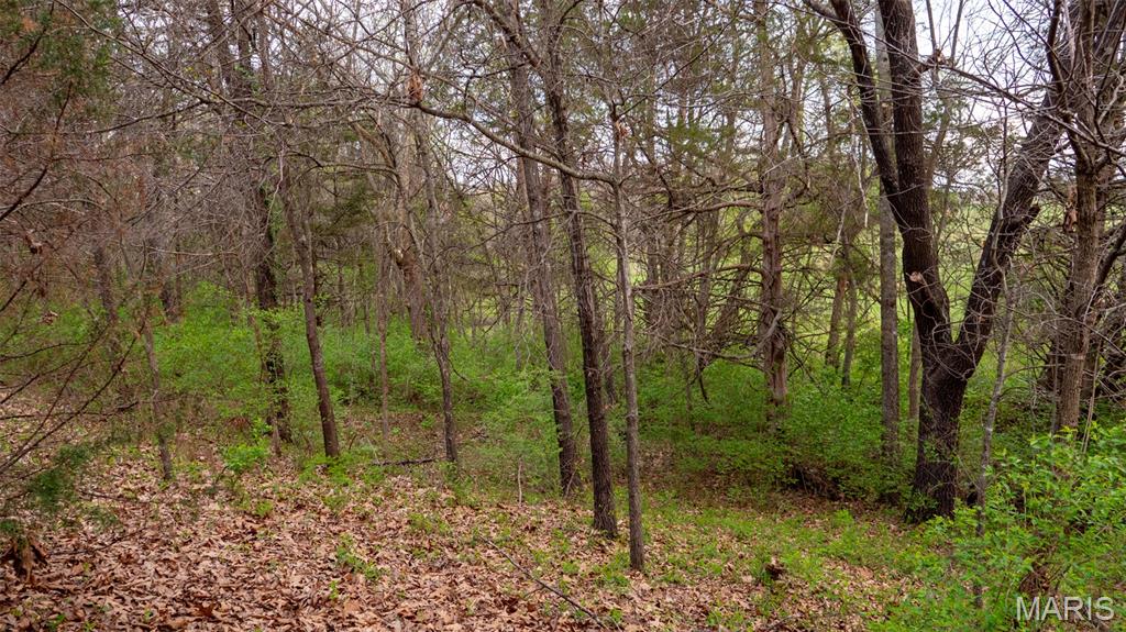 Country Lake Estates - Land