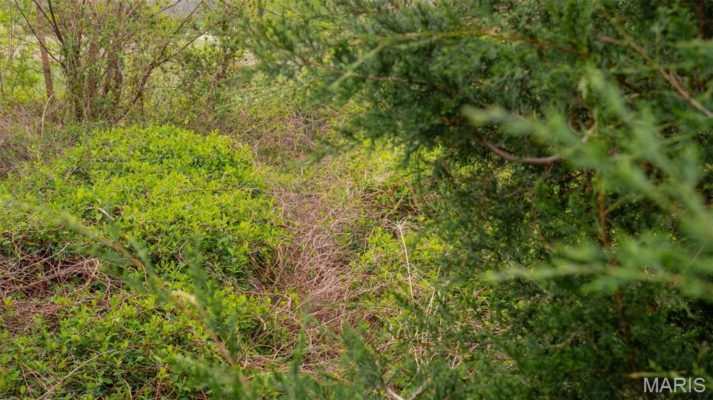 Country Lake Estates - Land