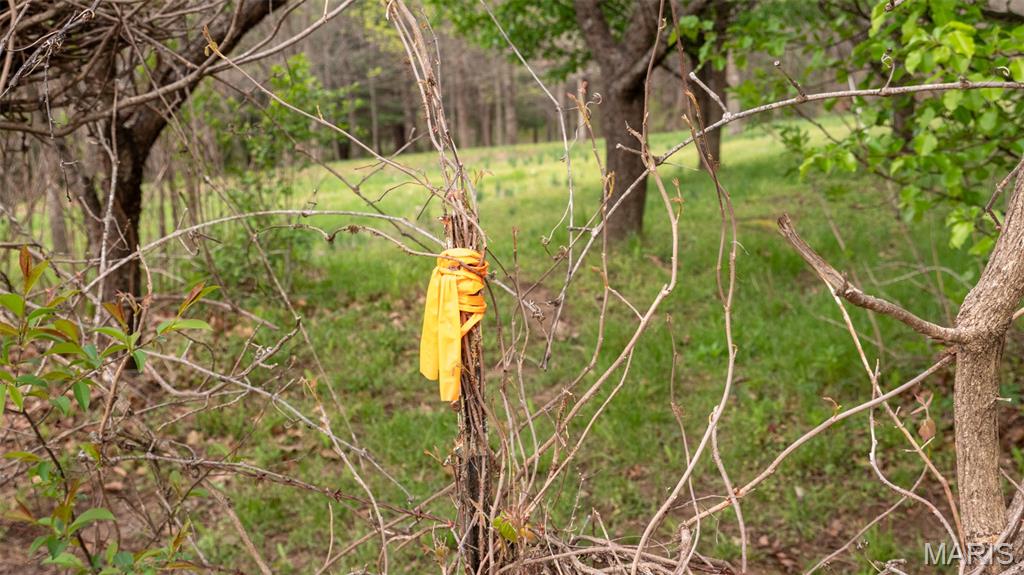 Country Lake Estates - Land