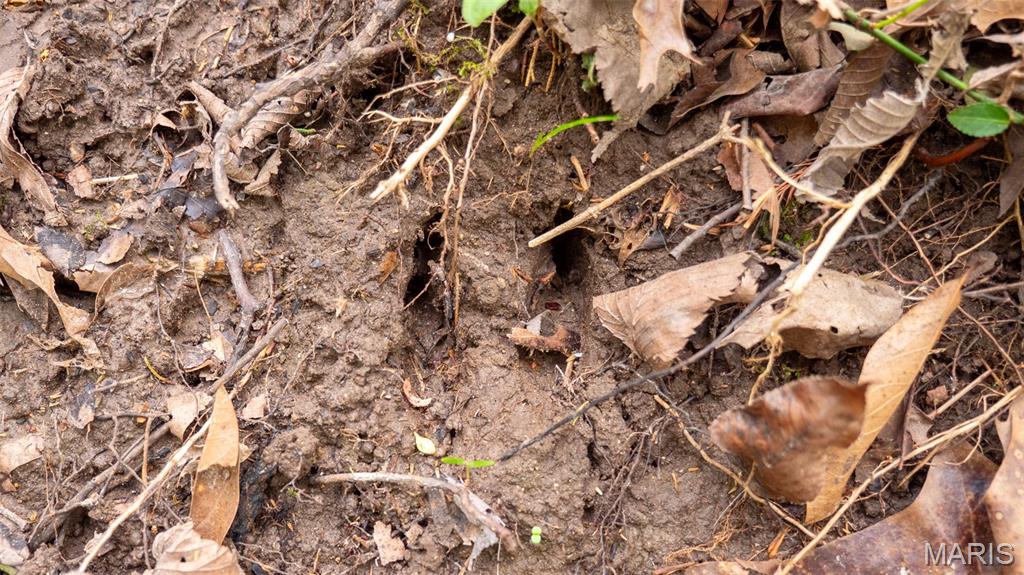 Country Lake Estates - Land