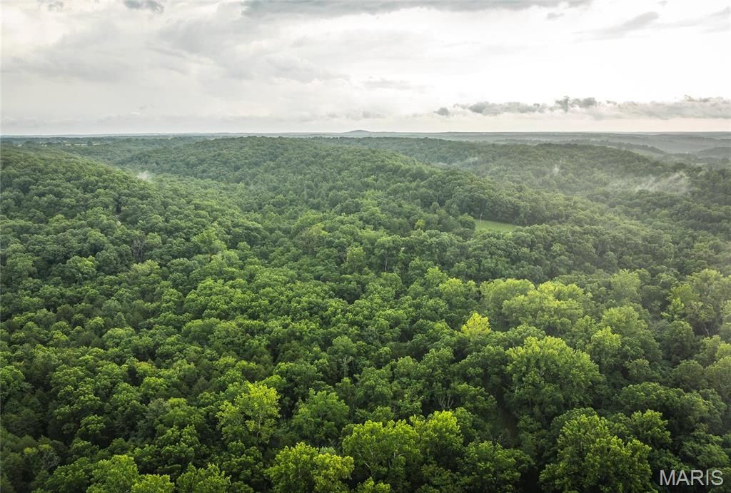 Photo of 0 County Road 7250 Tract 2, Newburg, MO 65550 (MLS # 26013753)