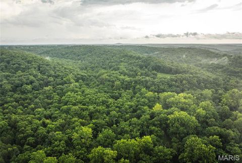 0 County Road 7250 Tract 2 Newburg MO 65550