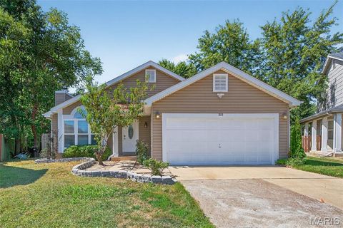 308 Cypress Point Court Cottleville MO 63304