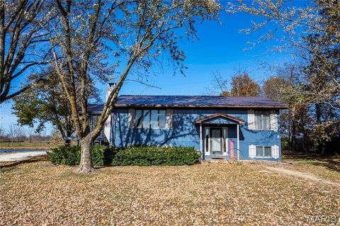 Tiny photo for 12838 Pike 403, Bowling Green, MO 63334 (MLS # 25076137)