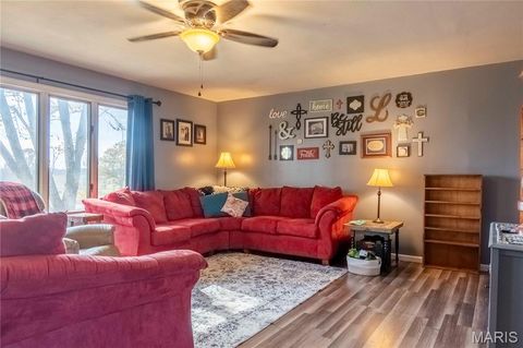 Tiny photo for 12838 Pike 403, Bowling Green, MO 63334 (MLS # 25076137)