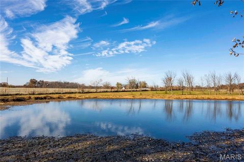 Tiny photo for 12838 Pike 403, Bowling Green, MO 63334 (MLS # 25076137)