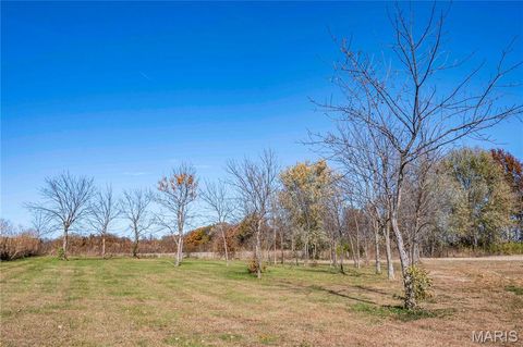 Tiny photo for 12838 Pike 403, Bowling Green, MO 63334 (MLS # 25076137)
