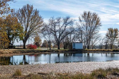 Tiny photo for 12838 Pike 403, Bowling Green, MO 63334 (MLS # 25076137)