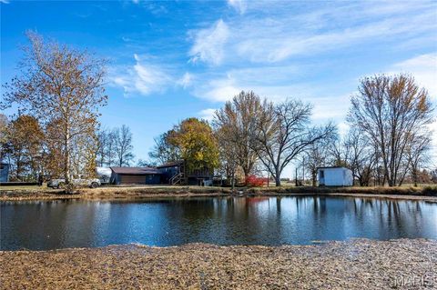 Tiny photo for 12838 Pike 403, Bowling Green, MO 63334 (MLS # 25076137)