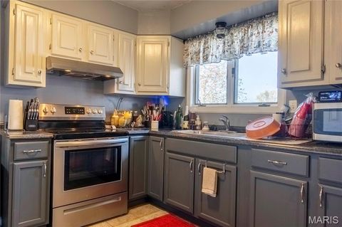 Tiny photo for 12838 Pike 403, Bowling Green, MO 63334 (MLS # 25076137)