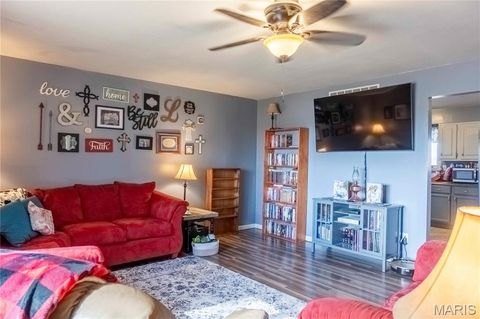 Tiny photo for 12838 Pike 403, Bowling Green, MO 63334 (MLS # 25076137)